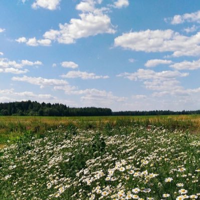 iiiiiii2348's profile picture. 