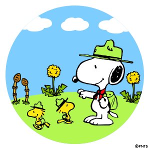 hi52624908's profile picture. 