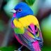 🌳Rupali (@rv1nature) Twitter profile photo 🌳Rupali (@rv1nature) Twitter profile photo
