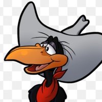 Crow (@crowsniper1) 's Twitter Profile