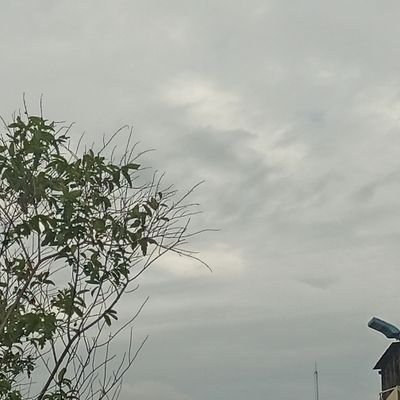 eeyycca's profile picture. 