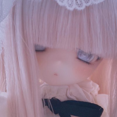 🔅𝙎𝙐𝙋𝙀𝙍 𝙈𝙄𝙉𝙊 𝘾𝙃𝘼𝙉 🔅さんのプロフィール画像