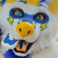 Cerber,Yume,Zive, and Nitro (@cerberus325) 's Twitter Profile