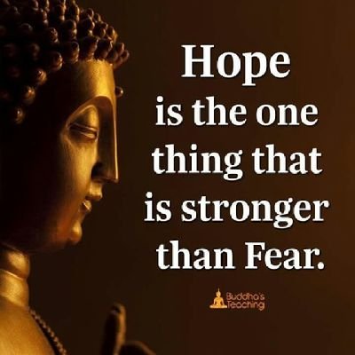 ZarchiSan1's profile picture. Admin of The Best page