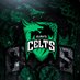 CAVC Celts (@CAVCEsports) Twitter profile photo