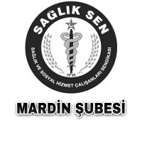 Mardin Sağlık-Sen(@saglikSenMardin) 's Twitter Profile Photo