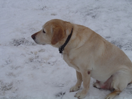 freerdad's profile picture. 