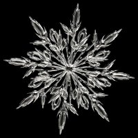 ๐๐๐ (@ice_snow_1024) 's Twitter Profile