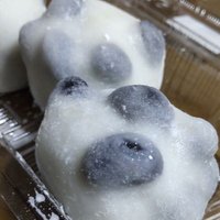 まめSPBV🦫 (@mamespvb) 's Twitter Profile