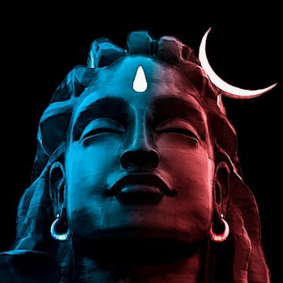 AdityaT38478909's profile picture. 