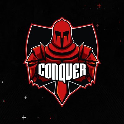 Conquer Gaming Profile