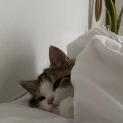 vinianggrek's profile picture. forever young