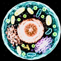 followback フォロバ100 相互フォロー f4f Genome Editing 🧬 (@riverside80jp) Twitter profile photo