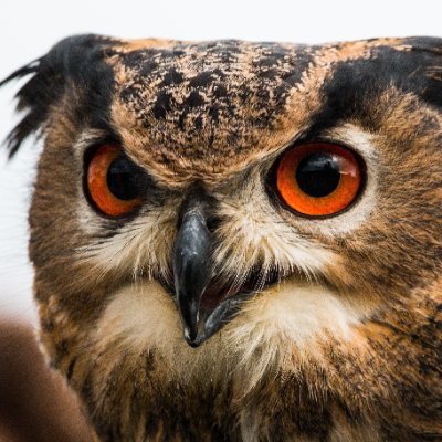 flaming2408's profile picture. 男