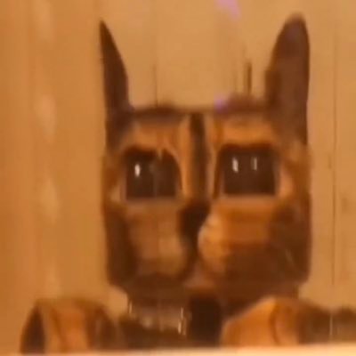 M69842660M's profile picture. 大分 ♀20代 pj