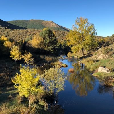 #Gredos Noticias y Difusión Imágenes Espectaculares del Parque #TurismoRural, #Fotografia #Alojamientos con Encanto https://t.co/fpgpRGPayg