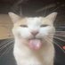 pato (@patomamada) Twitter profile photo pato (@patomamada) Twitter profile photo