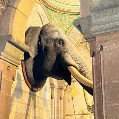 NijmanFrans's profile picture. 