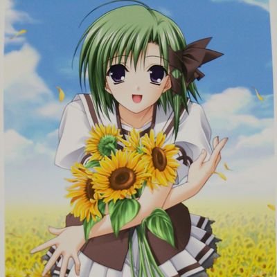 sasameyuki_code Profile Picture