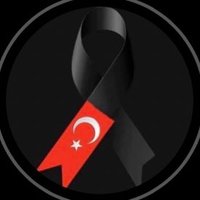 Superluxalgo 🇹🇷 (@superluxalgo1) 's Twitter Profile