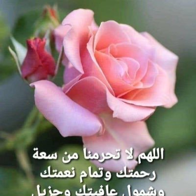 aelsokary23's profile picture. surgeon