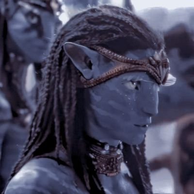 navisentric's profile picture. 