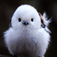 tukuyomi0511 (@man_utd_d_h) 's Twitter Profile