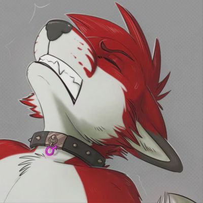 Anthropomorphic Gay Porn - gay furry/porn account (@gayfurryandporn) / Twitter