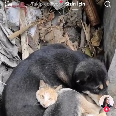 HandanSoydan07's profile picture. evli çiftiz olgun sevyeli dürüstçe real insnlar eklesin