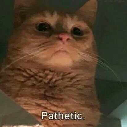 FeelRho's profile picture. 