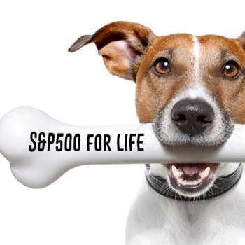 MrSpoos's profile picture. 