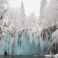 Isfall (@isfall) 's Twitter Profile