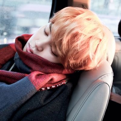 smoky_bear_'s profile picture. 