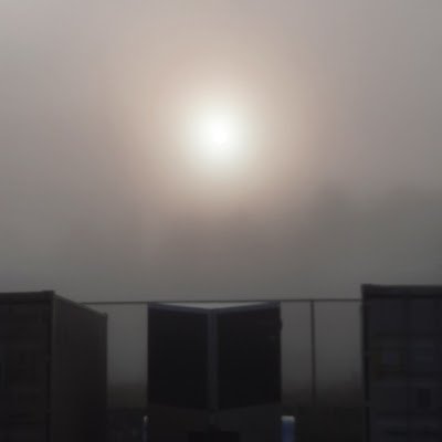 wowraregus's profile picture. 