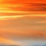 SusVTuberPics's profile picture. 