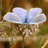 UKwildlifenews's profile image