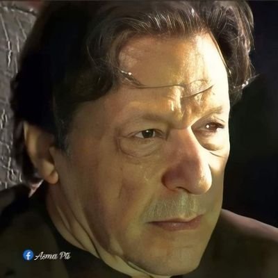 PTIF022's profile picture. Pti