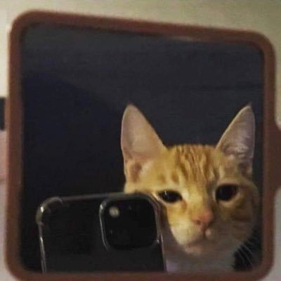 cat_gimmick Profile Picture