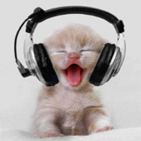 Gif Kitties( Cat with a headset)(@iluvcats2002) 's Twitter Profile Photo