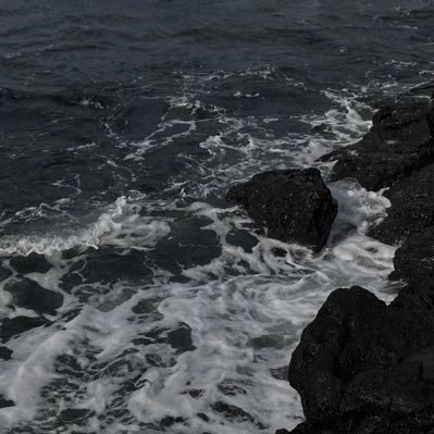 9scm55wq9k's profile picture. 