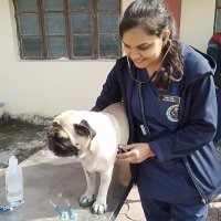 Rimjhim Sahu (@rimjhimsahu8) 's Twitter Profile Photo Rimjhim Sahu (@rimjhimsahu8) 's Twitter Profile Photo