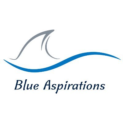 Blue Aspirations was founded to accelerate the global adoption of renewable energy by harnessing the power of data. We provide robust floating LiDAR systems.