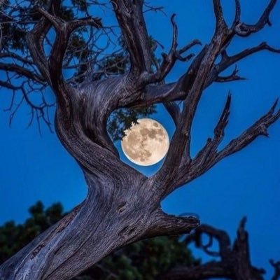 شخص بسيط في كل شي .. حاول أن تترك أثراً طيباً .. الأثر يبقى ..