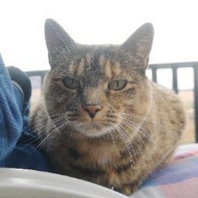 ClairifiedEdits's profile picture. 