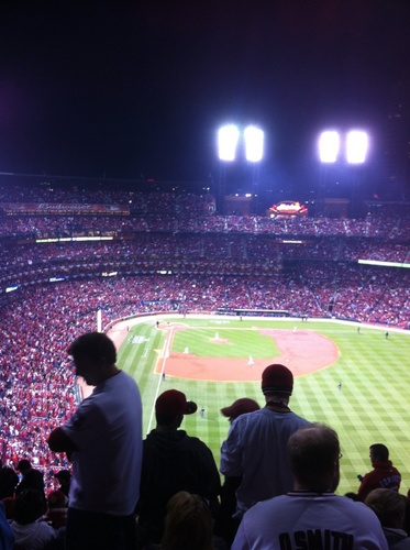 TammyConroy's profile picture. 