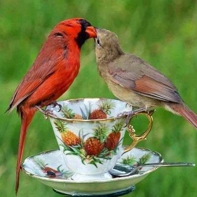 erotic_2's profile picture. I am a straight guy who love nature. I love science....knowing how things are made, you are free to DM me or share