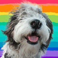 𝕻𝖆𝖙𝖗𝖎𝖎🇮🇨🏳️🌈 (@patriikamikaze_) 's Twitter Profile Photo 𝕻𝖆𝖙𝖗𝖎𝖎🇮🇨🏳️🌈 (@patriikamikaze_) 's Twitter Profile Photo