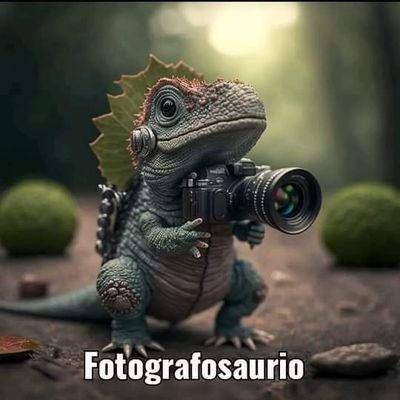 productor audiovisual, camarógrafo, publicista, fotógrafo