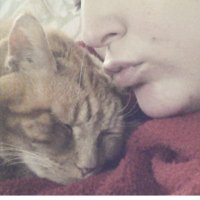 amy (@amezilla) 's Twitter Profile