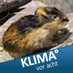 Cooler Lemming Ralf B. 🌡1,5°C📈🔥🌍 😰🐪🦕🦖⌛❌😖 (@ollifanz) Twitter profile photo Cooler Lemming Ralf B. 🌡1,5°C📈🔥🌍 😰🐪🦕🦖⌛❌😖 (@ollifanz) Twitter profile photo